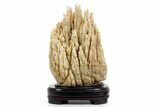 Fascinating, Calcite/Aragonite Stalactite Formation - China #360497-1